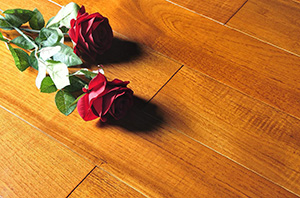 东莞入口木料为您讲授：类似木料的木质常识