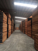 新货到，双发到新货有红玫瑰，黄玫瑰，红花梨，红红火火，接待定货