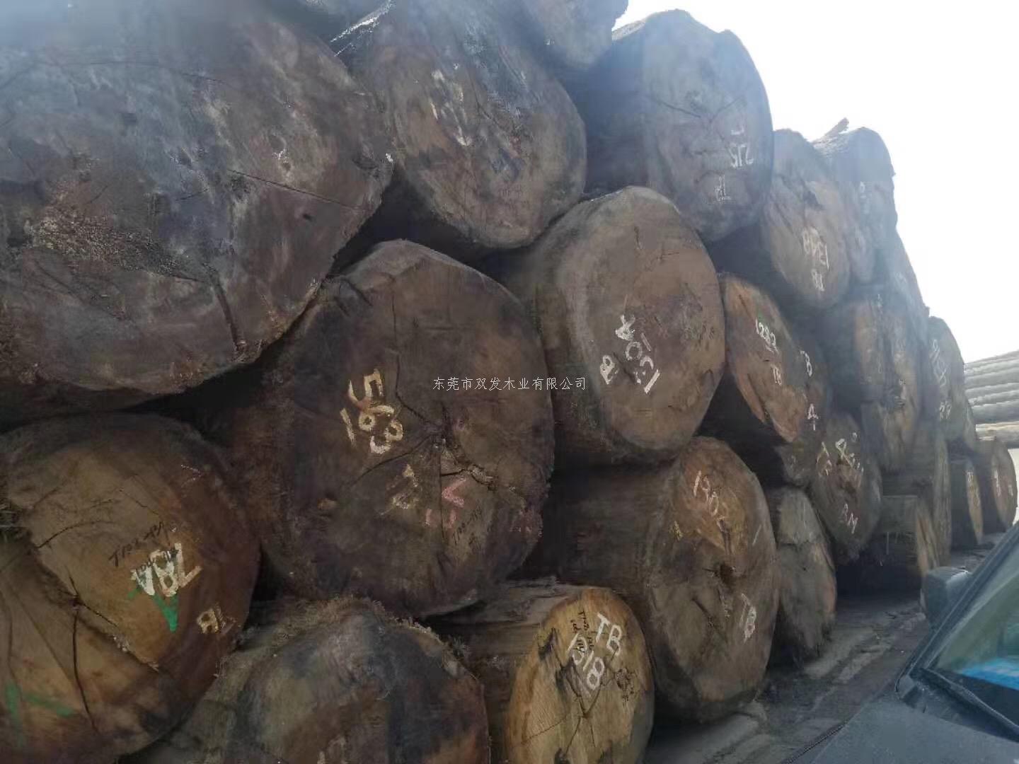 迎7月家具展，双发木业原木加工停止中。。